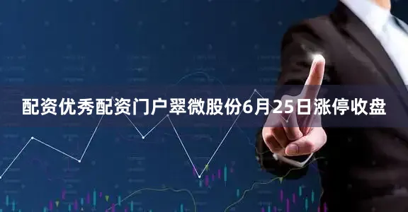配资优秀配资门户翠微股份6月25日涨停收盘