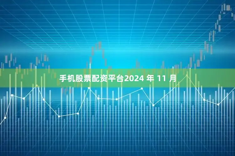 手机股票配资平台2024 年 11 月